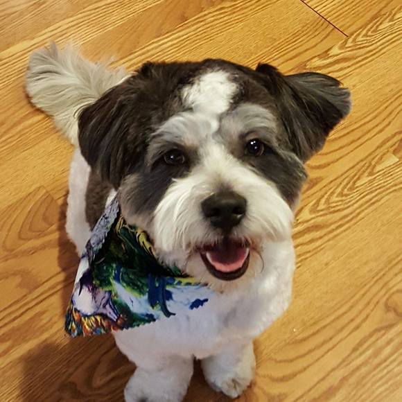 Meet your Posher, Barbara - Picture 1 of 1